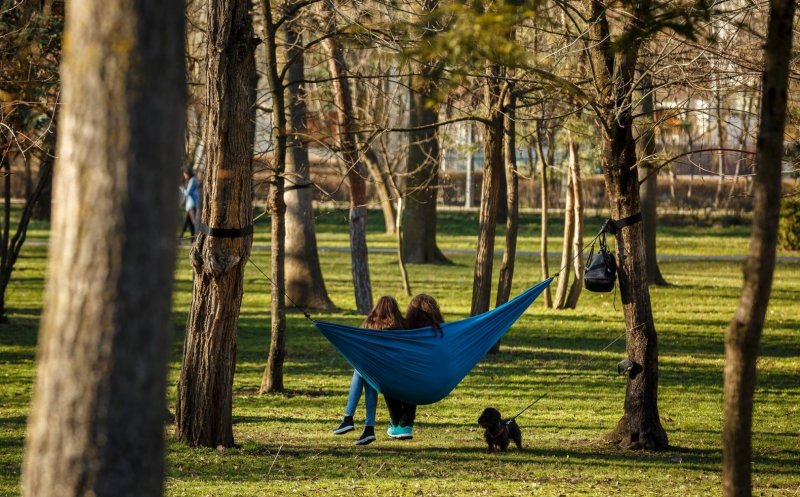 Cât costă să transformi o zonă degradată în cel mai mare parc al Clujului. Licitaţie lansată, investiţie europeană