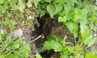 Ploile au făcut prăpăd la Cluj. Bilanț drumuri și gospodării inundate