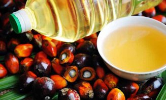 Adevărul despre uleiul de palmier. Cum se produce şi cât este de dăunător sănătăţii