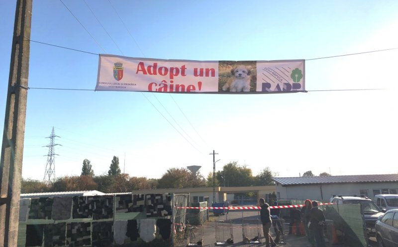 Proiect derulat de RADP Cluj intitulat ,, Adopt un caine’’