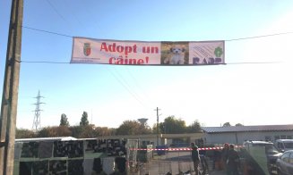 Proiect derulat de RADP Cluj intitulat ,, Adopt un caine’’