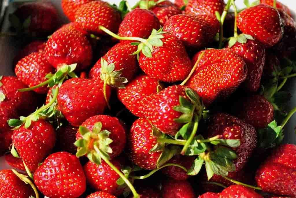Dieta cu căpușuni te scapă de 5 kg în 7 zile