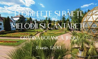 Flori, fete și băieți, melodii și cântăreți