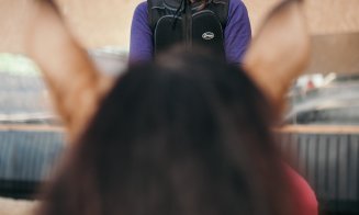 Salina Equines Horse Trophy, cel mai așteptat eveniment hipic în Transilvania!