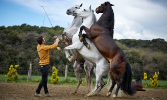 Salina Equines Horse Trophy, cel mai așteptat eveniment hipic în Transilvania!