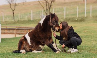 Salina Equines Horse Trophy, cel mai așteptat eveniment hipic în Transilvania!