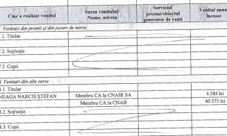 Ce avere are Narcis Neaga, directorul CNAIR
