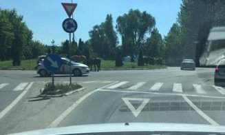 Cai la păscut într-un... sens giratoriu din Cluj