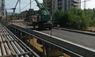 Defrișări la Podul Porțelanului. Sălciile din jur, puse la pământ