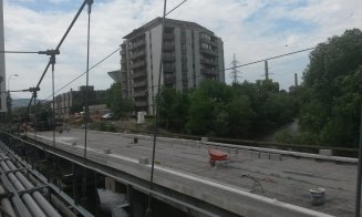 Defrișări la Podul Porțelanului. Sălciile din jur, puse la pământ