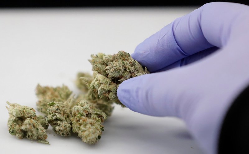 Legalizarea canabisului. Ministrul Sănătății: "Nu pot fi în totalitate de acord"