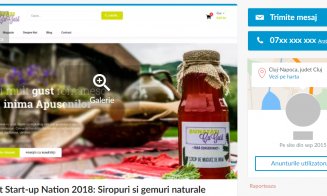 Sell-Up Nation. Zeci de afaceri finanţate de stat prin celebrul program, scoase la vânzare pe internet