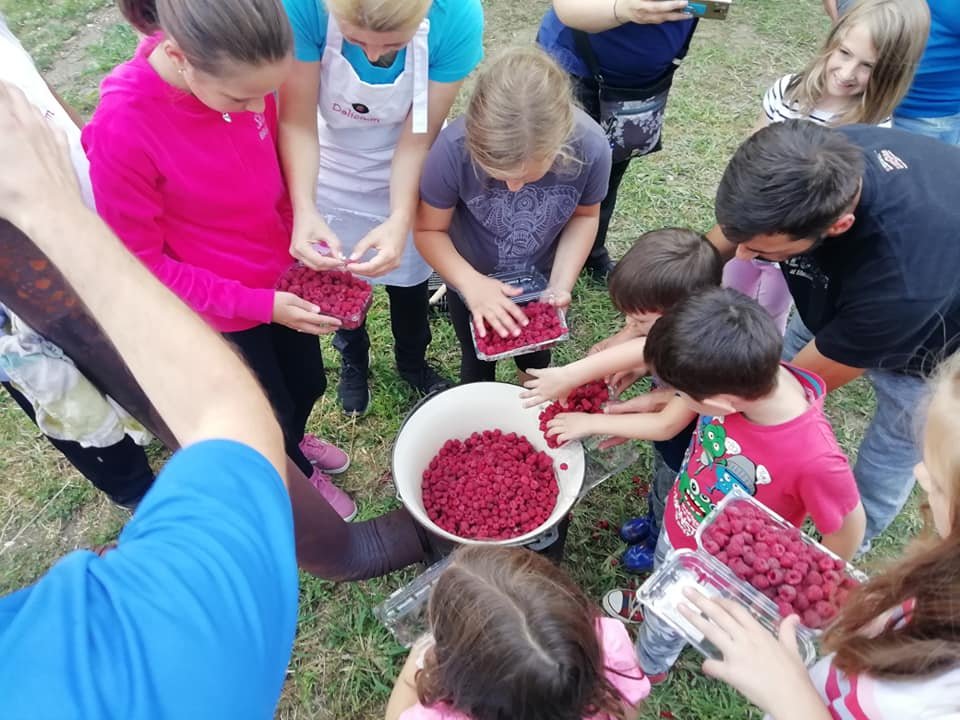 "Plaiuri Noi" redă viaţă satelor din Cluj / Au stârnit interesul cu picnicuri în livezi şi ferme, dar "coc" primul brand de microregiune