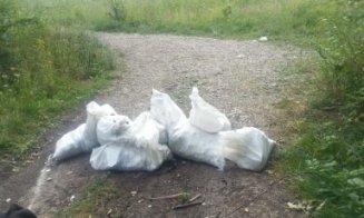 S-a mutat lângă o pădure din Cluj pentru liniște și natură, dar are parte de rampe clandestine de gunoi. E cetățean străin