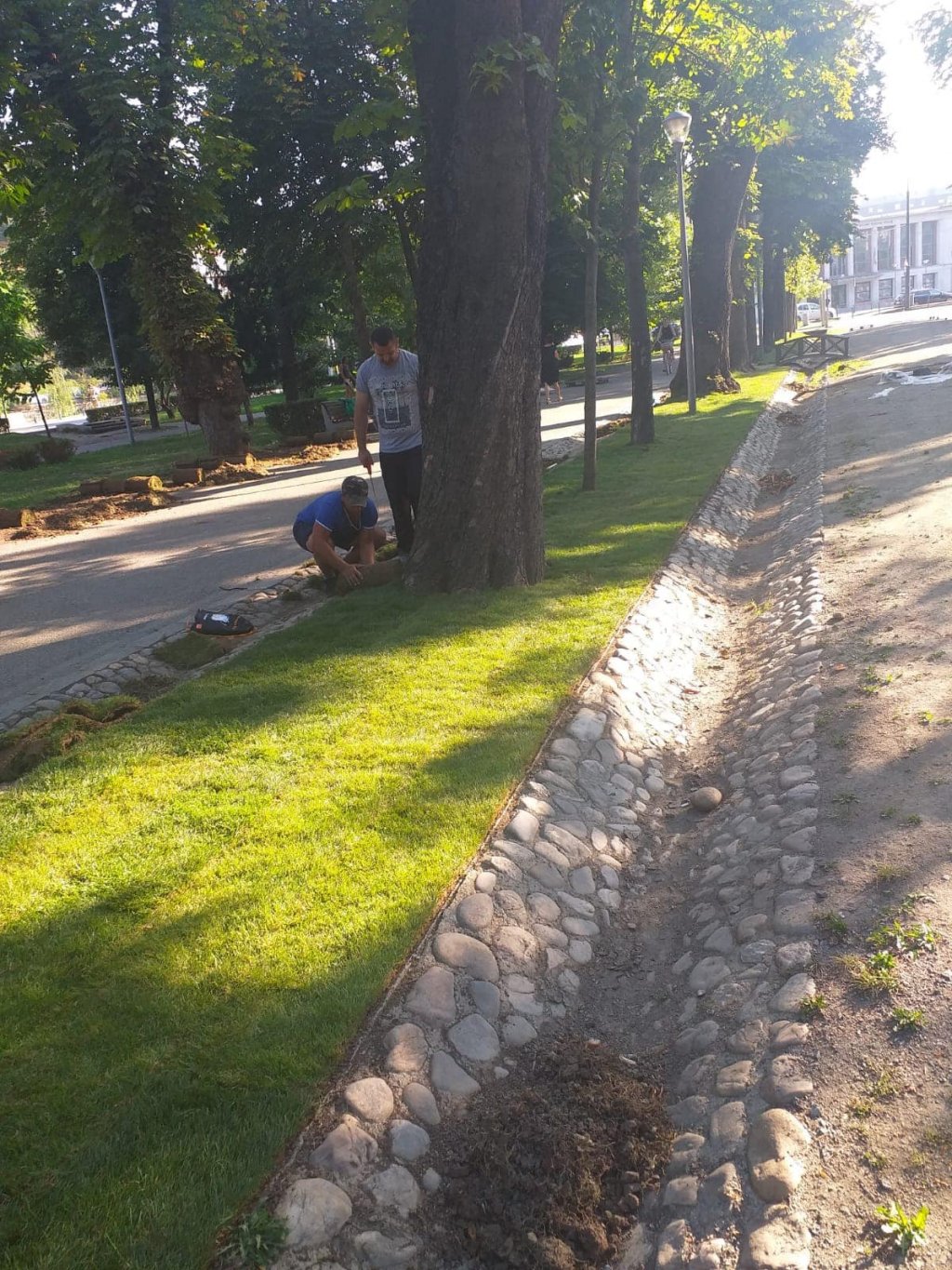 UNTOLD 2019. Noi imagini din Parcul Central și de pe Cluj Arena