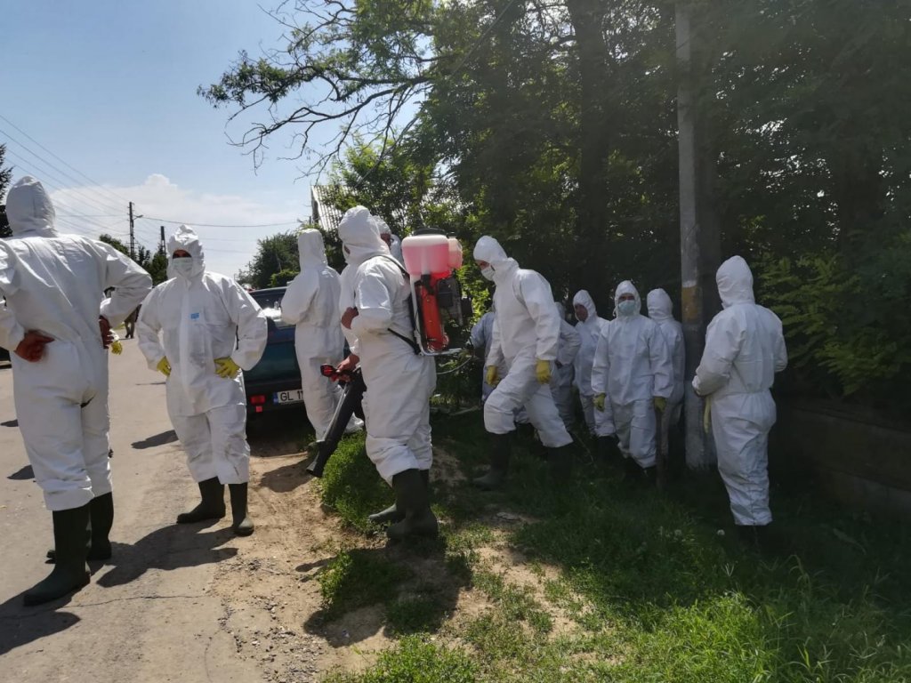 Un nou focar de pestă porcină în România: sute de animale vor fi ucise