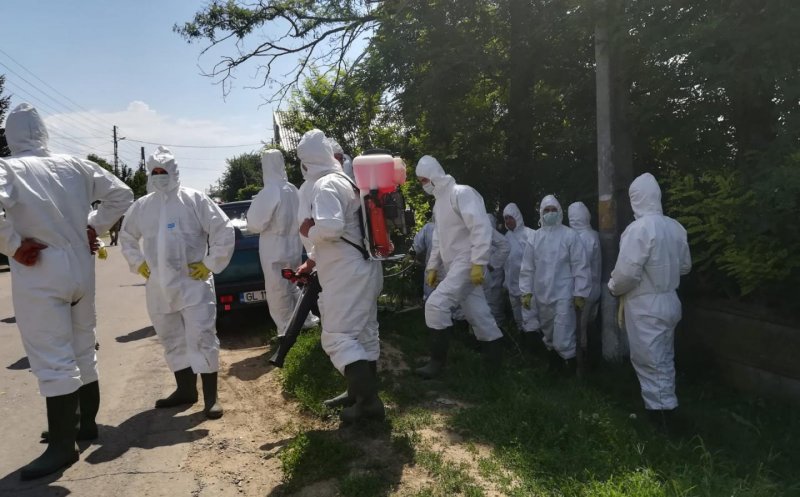 Un nou focar de pestă porcină în România: sute de animale vor fi ucise