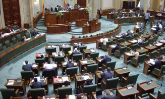 Senatul îşi alege conducerea, după demisia lui Tăriceanu. Care sunt propunerile partidelor