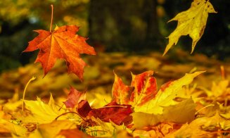Vine toamna! Val de aer rece peste România. Prognoza pentru Cluj