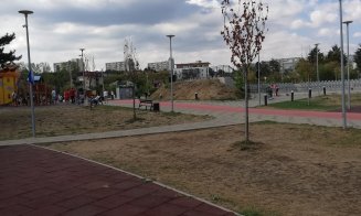 Se usucă arborii și iarba din Baza Sportivă Gheorgheni. "Alo, primăria, ne aude cineva?"