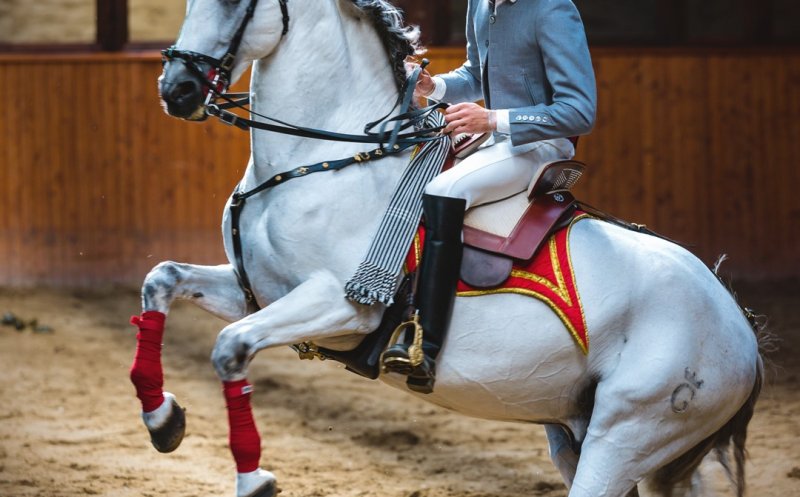 Dracula Horse Festival: Turnir medieval, spectacole ecvestre deosebite, concerte în locații inedite  și activități în natură