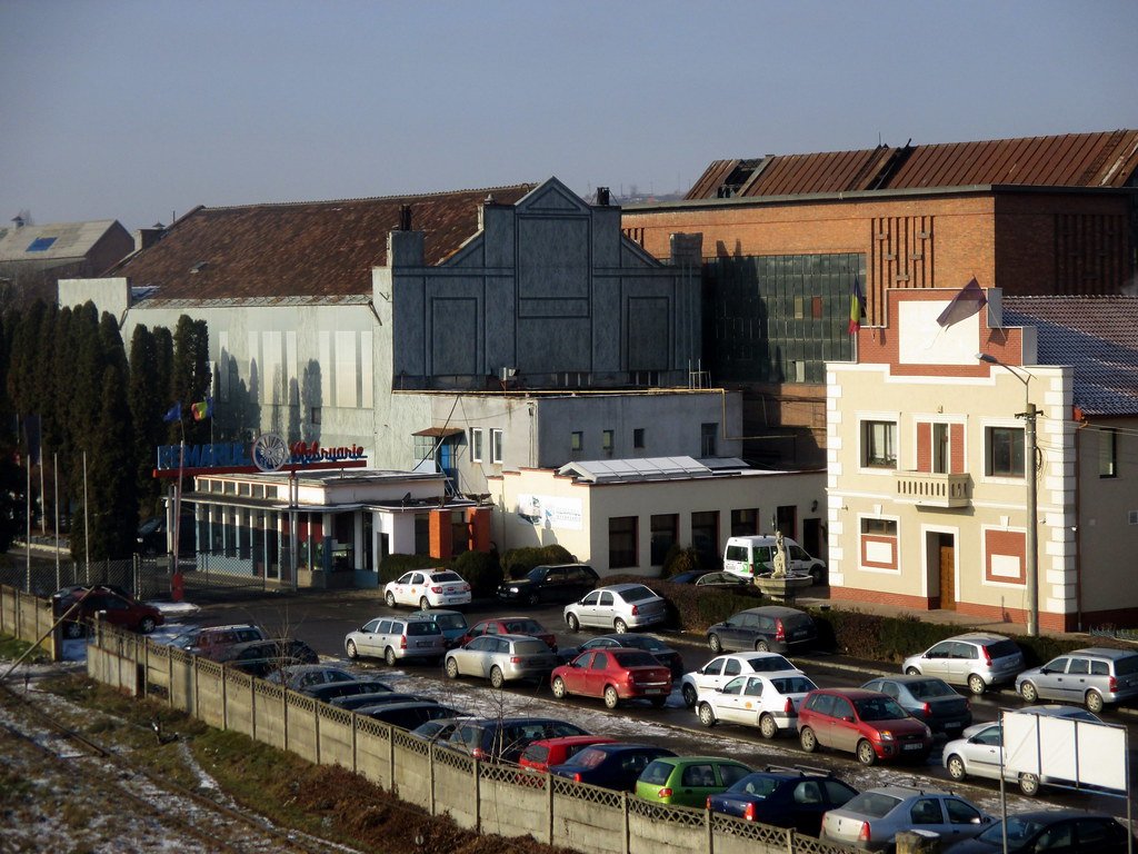 Acționarii Remarul vin cu bani de acasă ca să țină uzina pe linia de plutire
