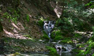 Destinaţie de weekend: Cheile Borzeşti