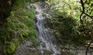 Destinaţie de weekend: Cheile Borzeşti