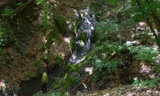 Destinaţie de weekend: Cheile Borzeşti