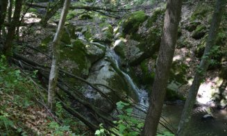 Destinaţie de weekend: Cheile Borzeşti