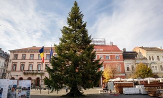Clujul se pregătește de Crăciun. Bradul a fost amplasat în Piața Unirii
