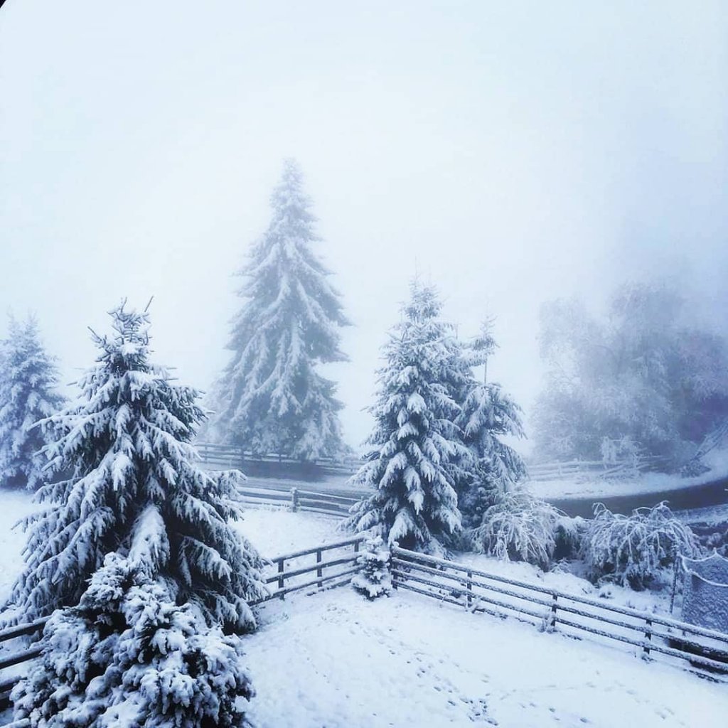 A venit iarna! Top 10 peisaje îngheţate din Cluj