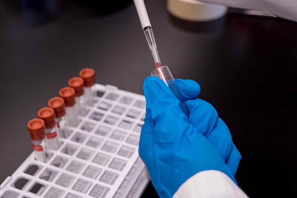 Oamenii de ştiinţă chinezi au creat primul hibrid între maimuţă şi porc. Cum arată