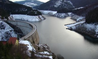 Masacru în Valea Drăganului. Sute de arbori au fost tăiați