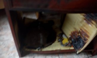 Incendiu într-un apartament, pe Titulescu. Fumul a fost observat de vecini