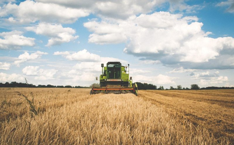 Lipsa zăpezii ar putea compromite producţia agricolă în 2020