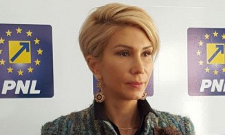 Calendar nou pentru alegeri anticipate: Alegeri generale şi locale, până în 28 iunie