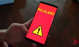 Ro-Alert: Atenție clujeni! Urs în zona Ic Ponor