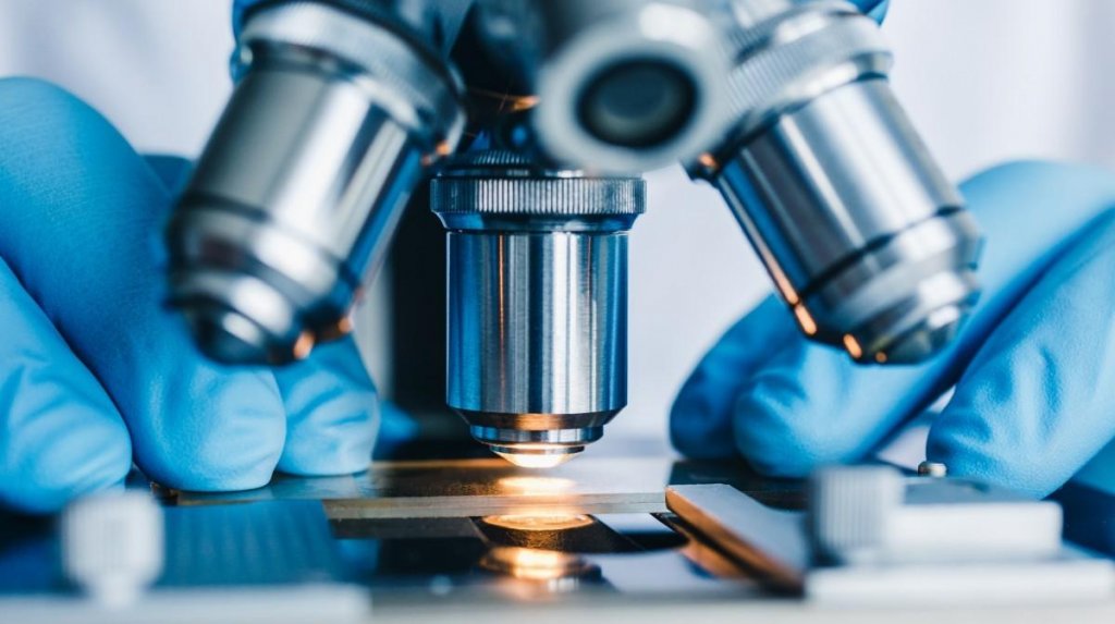 Cercetătorii au descoperit un "ceas" genetic care prezice durata de viaţă a fiecărei specii