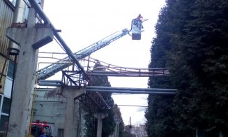 A luat foc Sinterom