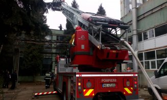 A luat foc Sinterom
