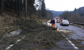 Vânt puternic la Cluj duminică seara. Va atinge până la 130 km/h