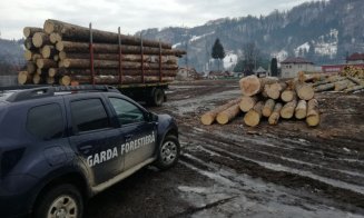 Garda Forestieră Cluj a descins în Apuseni. Două companii amendate