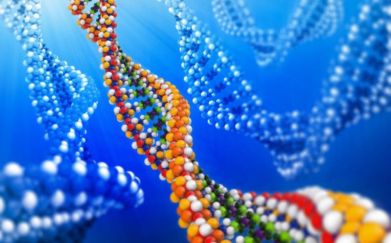 O nouă etapă în terapia genică, prin tehnica Crispr, împotriva cancerului (studiu)
