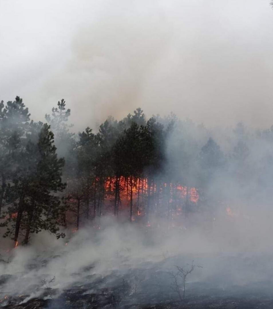 Incendiul din Făget | Pompierii le mulțumesc clujenilor care s-au implicat.  De la ce a pornit focul