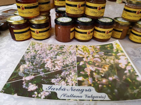 Miere rară, cu proprietăţi curative, produsă de un apicultor clujean