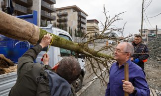 strada buna ziua