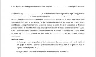 Modelele de formulare pentru şomajul tehnic au fost publicate în Monitorul Oficial