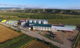 Avertisment de la Cluj. “Dacă intră coronavirusul în fermele mari, e dezastru”