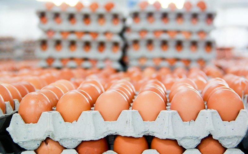 Vânzările de ouă, în scădere cu 30 % în perioada Sărbătorilor Pascale